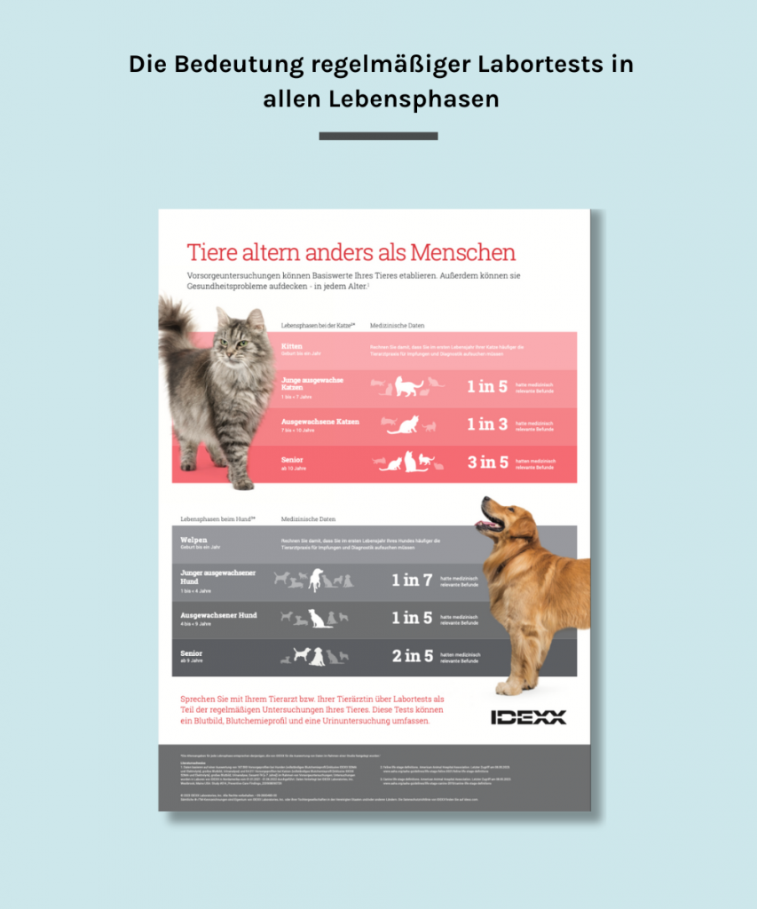 Übersicht über Lebensphasen