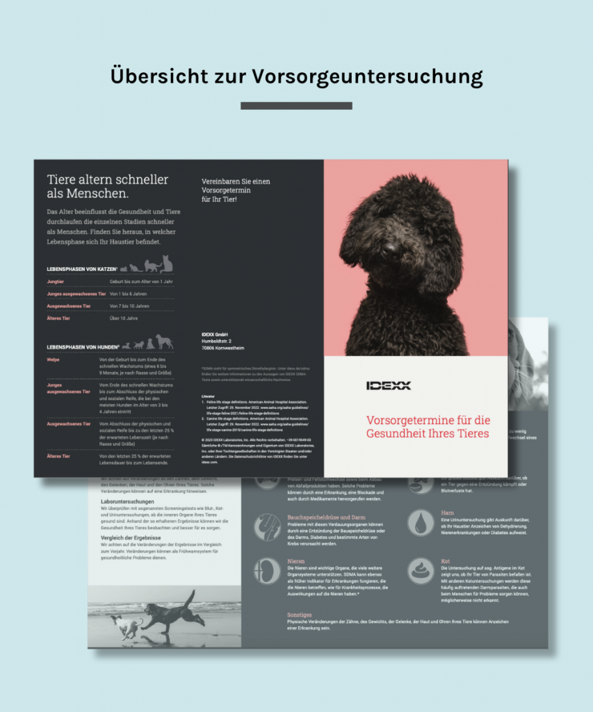 Vorsorgeuntersuchungen ansehen